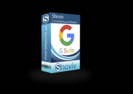 How to Simplify Google Workspace Backup for Multiple Accounts?